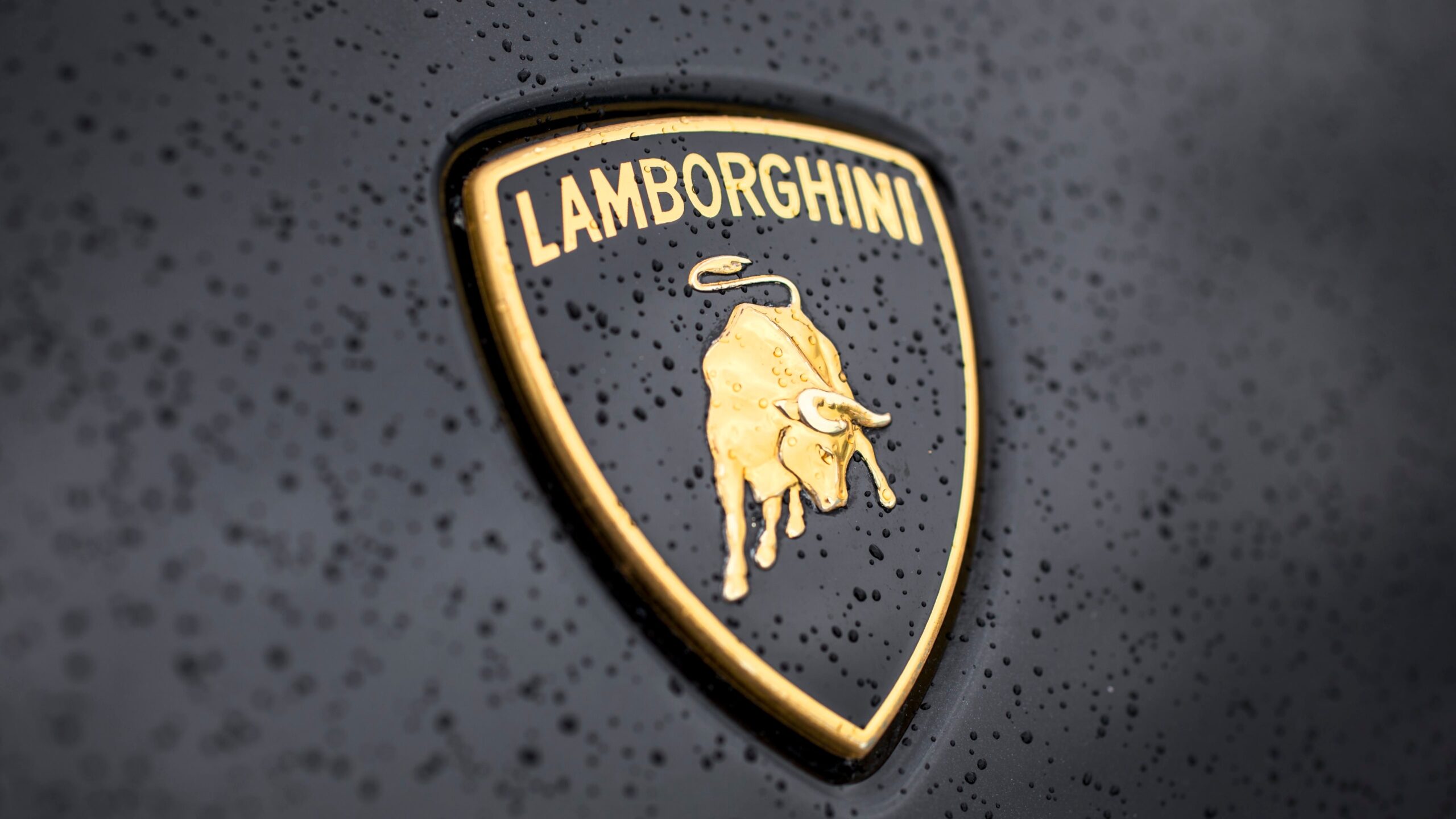 Story-behind-lamborghini-logo-Marksmen-Daily