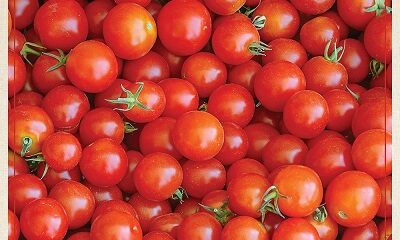 22733_Red20Gold20Tomatoes20Delicious-kg6tH7