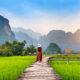 young-woman-walking-wooden-path-with-green-rice-field-vang-vieng-laos