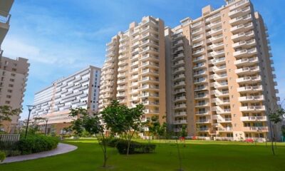 24169_Residential-Rentals-in-Zirakpur-OxHKIs