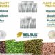 Relsus Empowers India's Plant-based Protein Industry