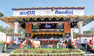 Karnataka's Nandini Dairy to Sponsor Ireland and Scotland teams in upcoming T20 World Cup