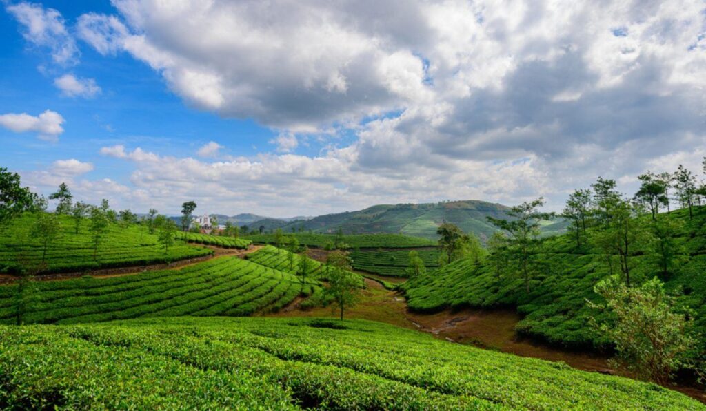 Vagamon