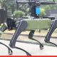 Zen Tech's game-changing ‘Made in India’ defence robots 