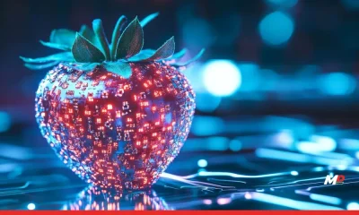 OpenAI to Launch Advanced AI Model 'Strawberry' This Fall