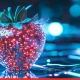 OpenAI to Launch Advanced AI Model 'Strawberry' This Fall